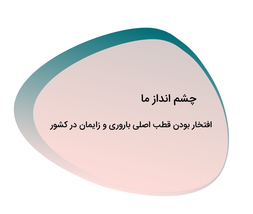 چشم انداز ریحانه سنتر